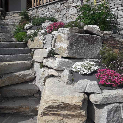Aménagement extérieur d'un escalier en pierre agrémenté de fleur de montagne, conception et aménagement paysager par Concept jardin