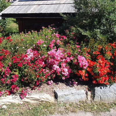 massif-02-jardin-concept-400x400