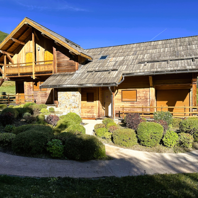 De jolies arbustes taillés en boule par nos techniciens de Concept Jardin