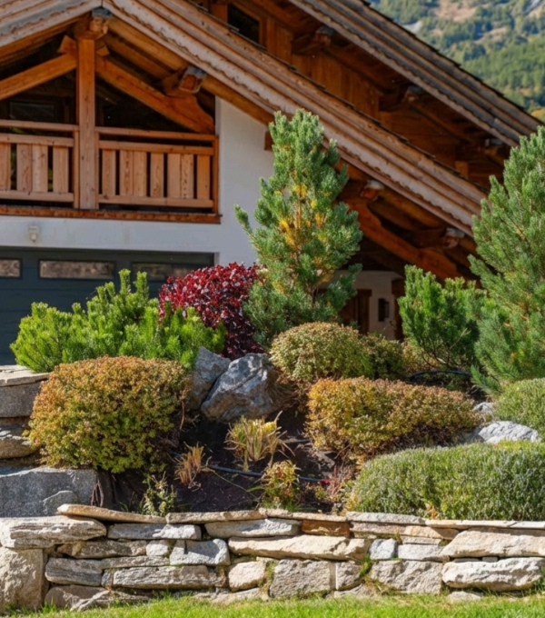 Jolie massif d'arbuste en boule devant un chalet